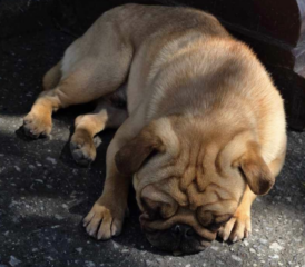 Ekran-Resmi-2026-04-10-00.15.11