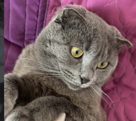 Ekran-Resmi-2026-04-10-00.17.07