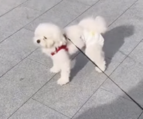 Ekran-Resmi-2026-04-10-00.18.15