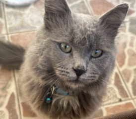 Ekran-Resmi-2026-04-10-00.19.09