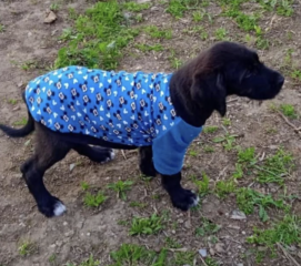 Ekran-Resmi-2026-04-10-00.27.45