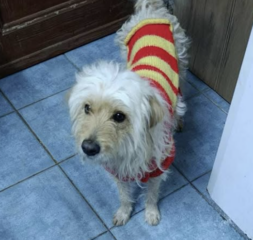 Ekran-Resmi-2026-04-10-00.37.36