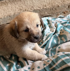 Ekran-Resmi-2026-04-10-00.41.45