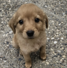 Ekran-Resmi-2026-04-10-00.56.23