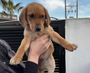 Ekran-Resmi-2026-04-10-00.57.20