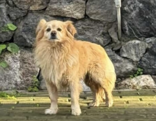 Ekran-Resmi-2026-04-10-01.07.57