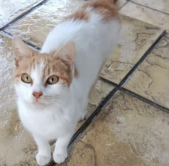 Ekran-Resmi-2026-04-10-01.26.25