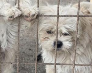 Ekran-Resmi-2026-04-10-01.30.00