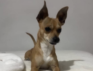 Ekran-Resmi-2026-04-10-10.14.50