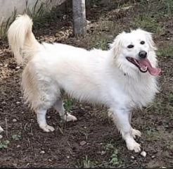 Ekran-Resmi-2026-04-10-10.15.44