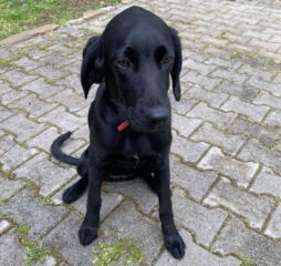 Ekran-Resmi-2026-04-10-10.16.59