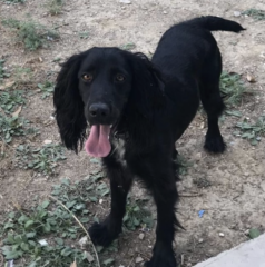 Ekran-Resmi-2026-04-10-10.18.36