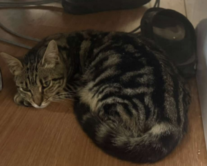 Ekran-Resmi-2026-04-10-10.19.43