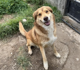 Ekran-Resmi-2026-04-10-10.20.44