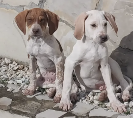 Ekran-Resmi-2026-04-10-10.21.44