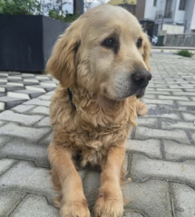 Ekran-Resmi-2026-04-10-10.23.00