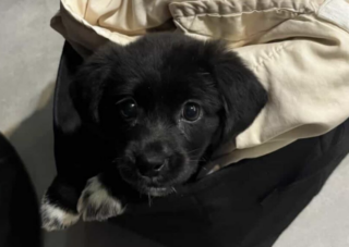 Ekran-Resmi-2026-04-10-10.24.20