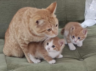 Ekran-Resmi-2026-04-10-23.13.54