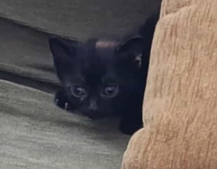 Ekran-Resmi-2026-04-11-13.30.00