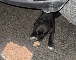 Ekran-Resmi-2026-04-11-13.31.22