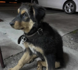 Ekran-Resmi-2026-04-11-13.33.28