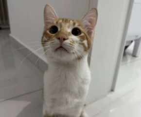 Ekran-Resmi-2026-04-11-13.35.12