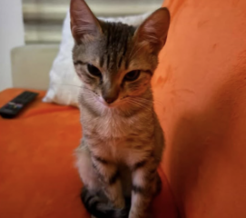 Ekran-Resmi-2026-04-11-13.48.13