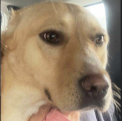 Ekran-Resmi-2026-04-11-13.53.37