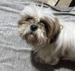 Ekran-Resmi-2026-04-11-14.04.22