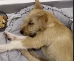 Ekran-Resmi-2026-04-11-14.06.11