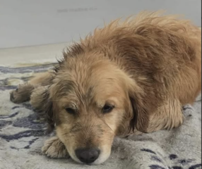 Ekran-Resmi-2026-04-11-14.13.31