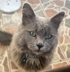 Ekran-Resmi-2026-04-11-14.15.38