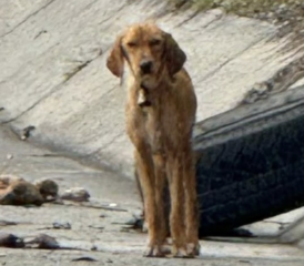 Ekran-Resmi-2026-04-11-14.20.48