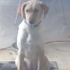 Ekran-Resmi-2026-04-11-14.21.51