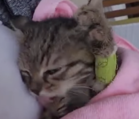 Ekran-Resmi-2026-04-11-14.23.38