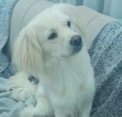 Ekran-Resmi-2026-04-11-14.24.53