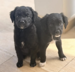 Ekran-Resmi-2026-04-11-15.10.16