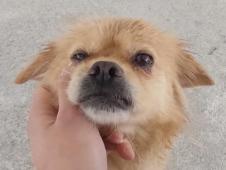 Ekran-Resmi-2026-04-11-15.11.46