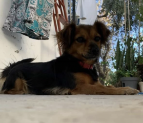 Ekran-Resmi-2026-04-11-15.12.58