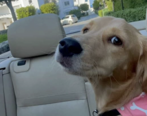 Ekran-Resmi-2026-04-11-15.14.02