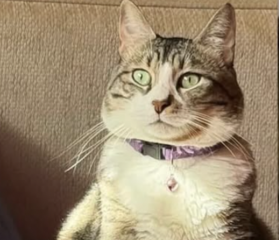 Ekran-Resmi-2026-04-11-15.15.32