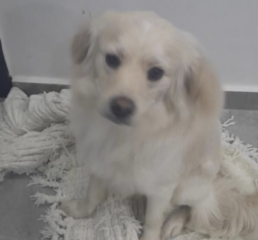 Ekran-Resmi-2026-04-11-15.16.42