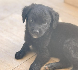 Ekran-Resmi-2026-04-11-15.17.35