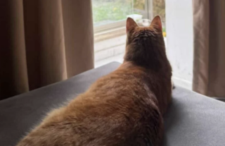 Ekran-Resmi-2026-04-11-15.20.57