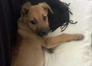 Ekran-Resmi-2026-04-11-15.22.21