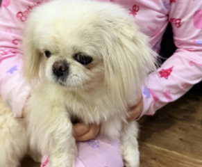 Ekran-Resmi-2026-04-11-15.24.43