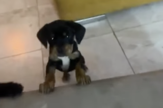 Ekran-Resmi-2026-04-11-17.33.22