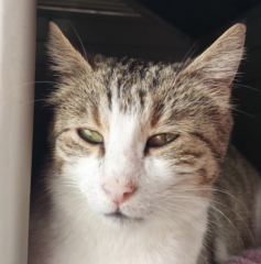 Ekran-Resmi-2026-04-11-17.35.05