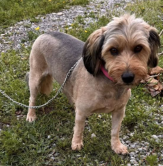 Ekran-Resmi-2026-04-11-17.37.12