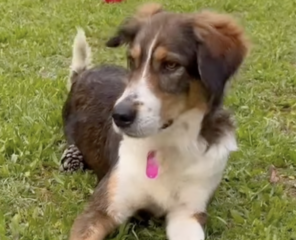 Ekran-Resmi-2026-04-11-17.39.20